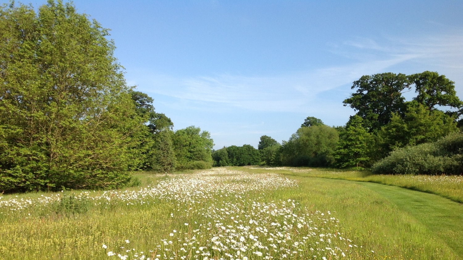 The Yorkshire Arboretum York North Yorkshire YO60 7BY National   31828 (08) 1500 